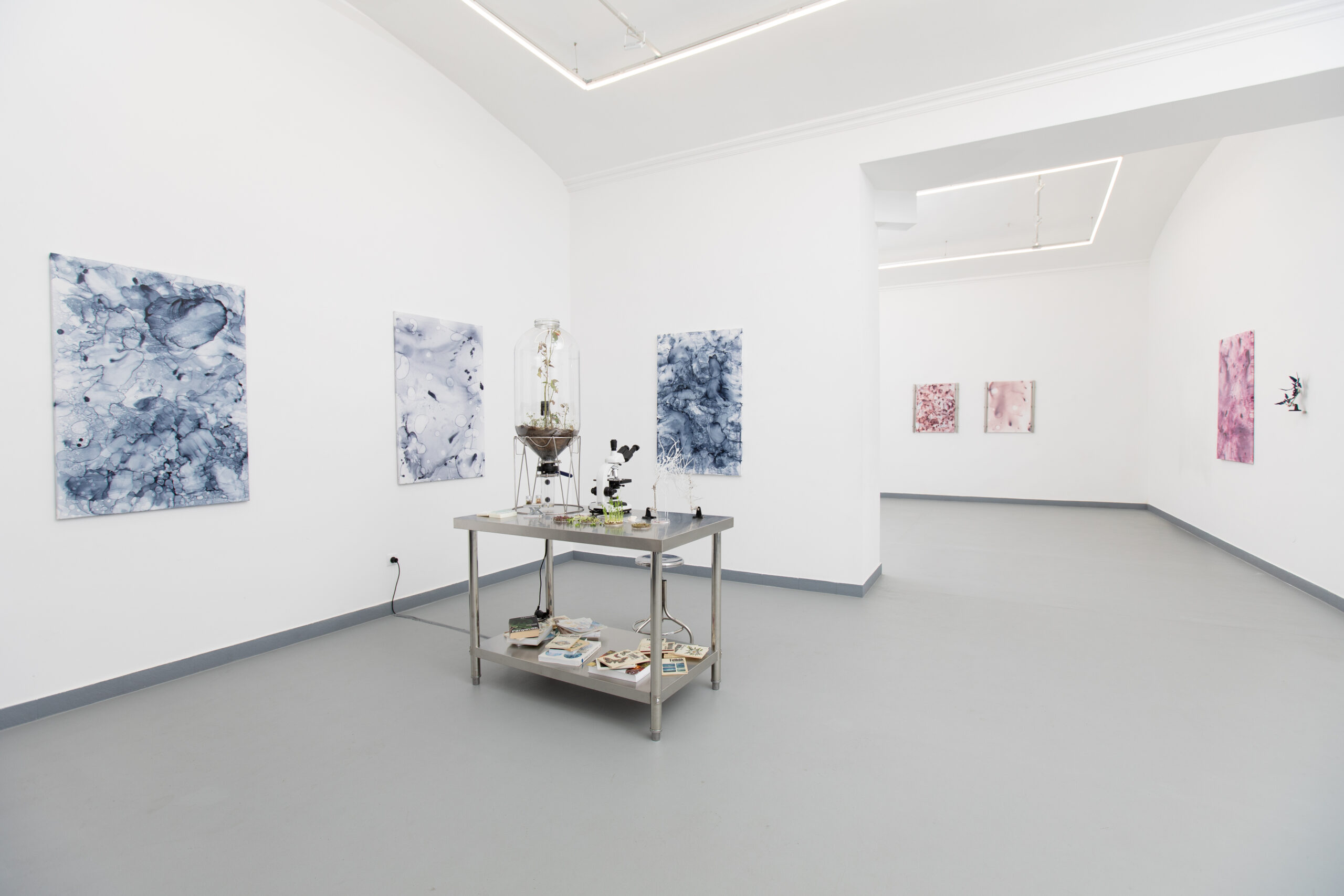 Veronika Csonka: What has been here all along, On view: 18 September - 20 November, 2026